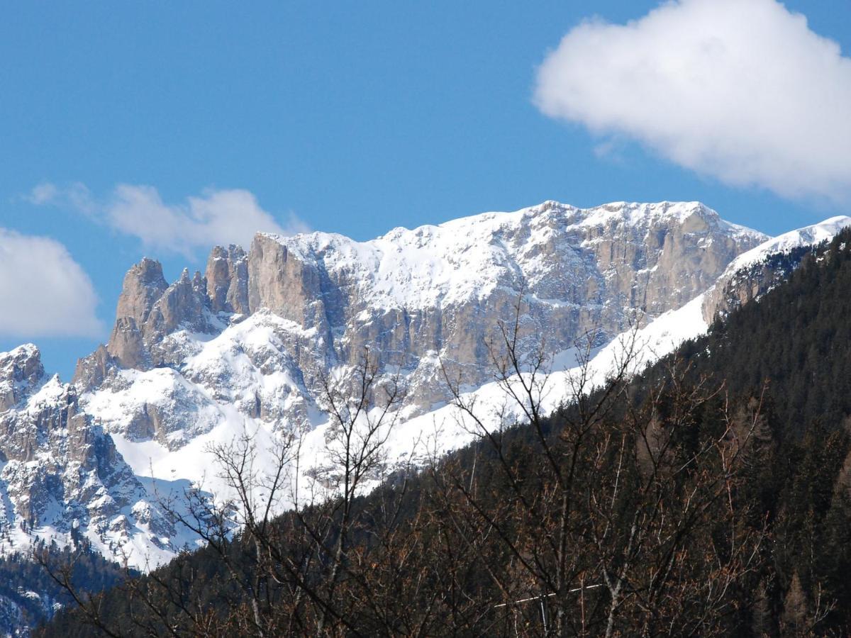 Apartment Villa Placidia-5 By Interhome Campitello di Fassa Εξωτερικό φωτογραφία